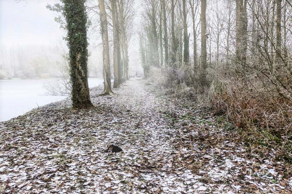 Marche de Noël Bray sur Somme