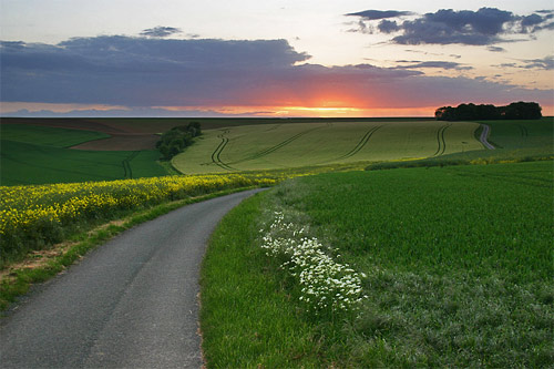 Photo de coucher de soleil