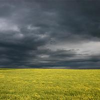 Orage sur les champs de colzas en Picardie