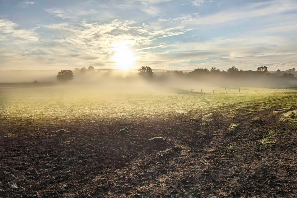 Pâturages brayons au petit matin Pâturages brayons au petit matin